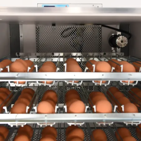 Couveuse Maino Mini Pro 147 Digitale - 147 œufs