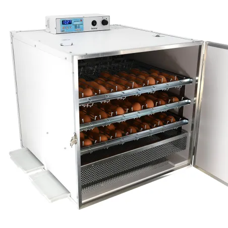 Couveuse Maino Mini Pro 147 Digitale - 147 œufs