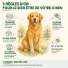 Complément alimentaire riz soufflé pour chiens 800g