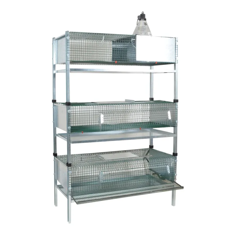 Kit cage d'élevage cailles galvanisé 100x50x180 cm complet