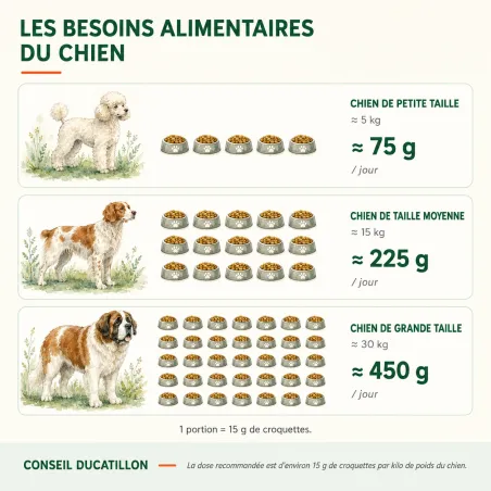 Friandises bâtonnets poulet 200g pour chien