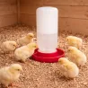 Abreuvoir siphoïde 1L pour poussins et cailles - Vis
