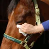 Lingettes nettoyantes Easy Shine Whipe pour chevaux