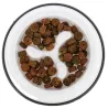 Gamelle anti-glouton en plastique pour chiens