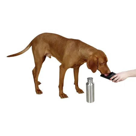 Bouteille de voyage pour chien en inox