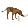 Bouteille de voyage pour chien en inox