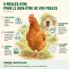Poulailler métal galvanisé avec enclos pour 3-4 poules