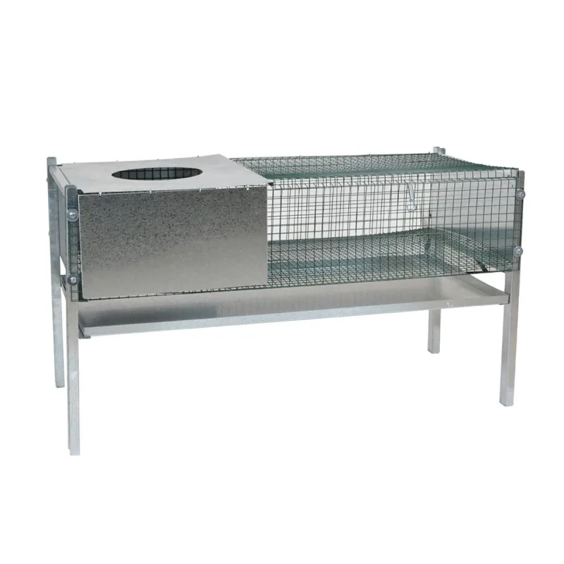 Cage d'élevage pour poussins et cailles 101x46x56 cm