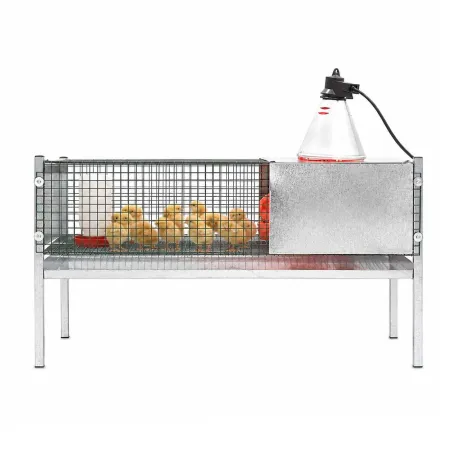 Cage d'élevage pour poussins et cailles 101x46x56 cm