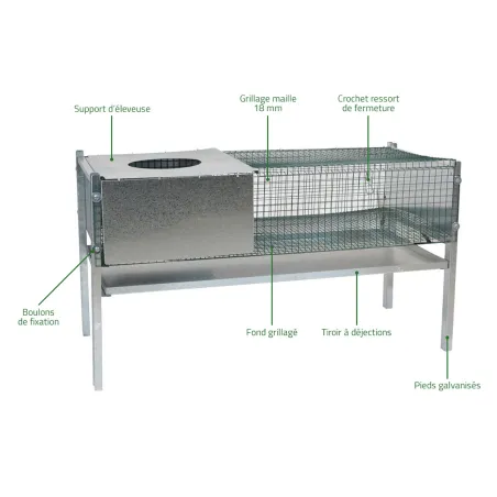 Cage d'élevage pour poussins et cailles 101x46x56 cm