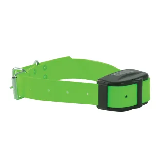 Collier Supplémentaire pour DT2000 en nylon vert