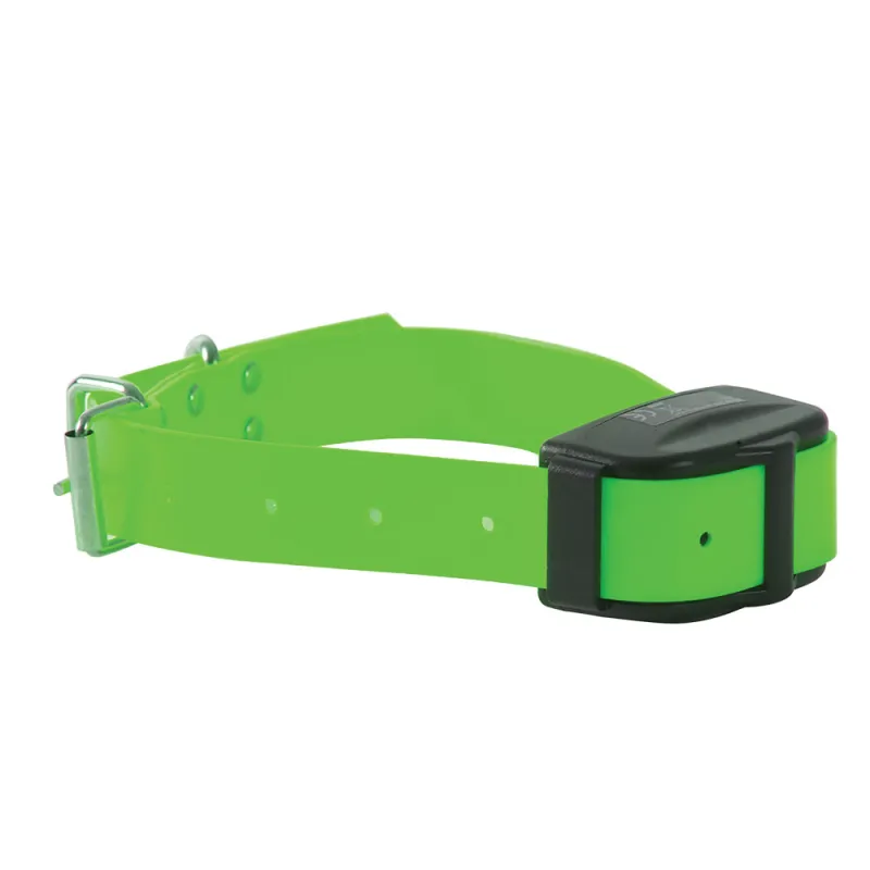 Collier Supplémentaire pour DT2000 en nylon vert