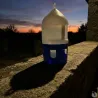 Abreuvoir siphoïde pour pigeons 5L avec poignée