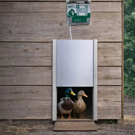 Portier automatique horloge + trappe canard 30x40 cm