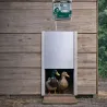 Portier automatique horloge + trappe canard 30x40 cm