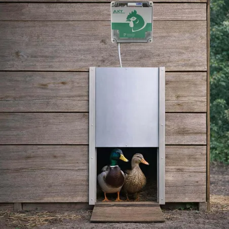 Portier solaire trappe canard 30x40cm - autonome et sécurisé