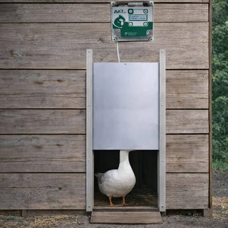 Portier automatique horloge + trappe pour oies 33x50cm