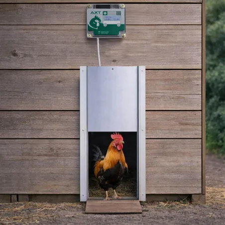 Portier automatique horloge + trappe 22x33cm VSE