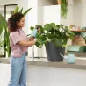 Pulvérisateur plantes 0,7L Elho - Arrosage précis