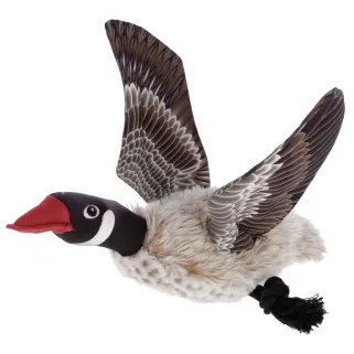 Peluche chien Oie à Squeaker pour jeu stimulant
