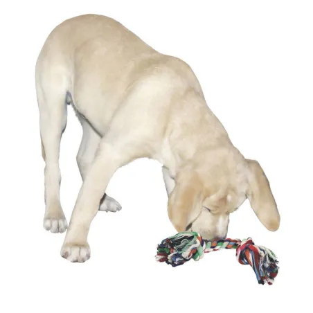 Jouet chien en corde nouée 20 cm - Coton résistant