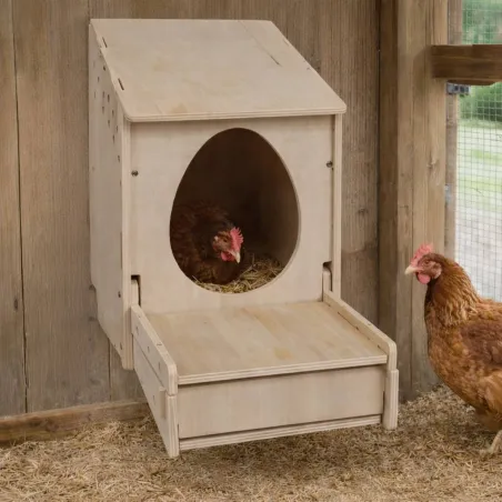 Pondoir en bois pour poules avec réceptacle à œufs