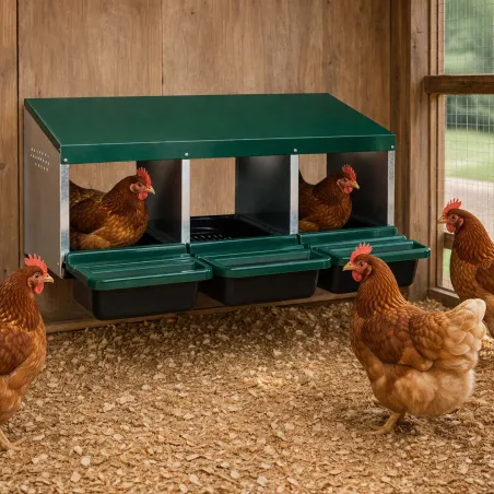 Pondoir 3 nids galvanisé pour poules - GAUN 80x52x42cm