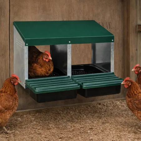 Pondoir 2 nids en tôle galvanisée pour poules - GAUN