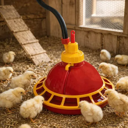 Abreuvoir suspendu automatique pour poussins et cailles