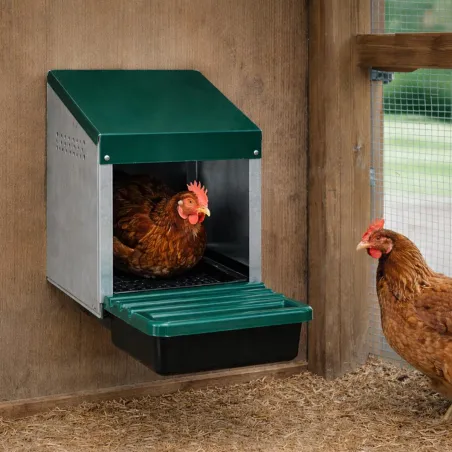 Pondoir 1 nid en tôle galvanisée pour poules - GAUN