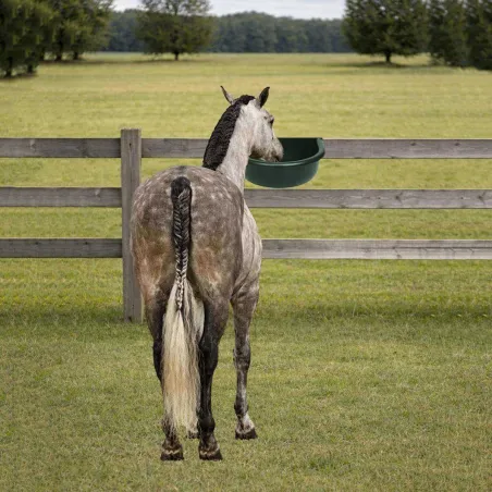 Abreuvoir auto 2,5L pour ovins, caprins et chiens
