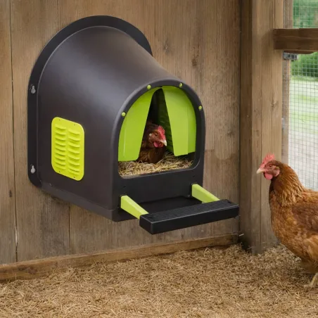 Nid pondoir MyCozyNest Olba - Confort pour vos poules