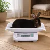 Balance digitale pour lapins 20kg - Précision 5g
