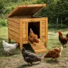 Nichoir-abri cube pour poules 42x51,5xH43 cm en bois