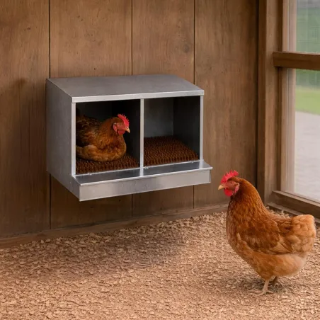 Nid pondoir galvanisé 2 cases pour poules