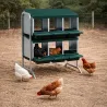 Pondoir poule pro vertical galvanisé 6 nids