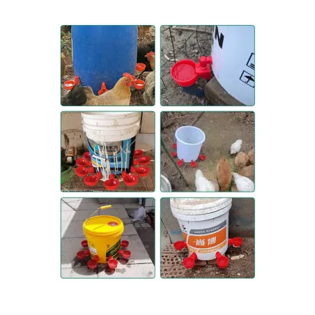 5 abreuvoirs bol rouge pour bidon volailles