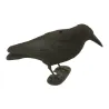 Appelant corbeau 40x13x18cm avec socle plastique