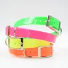 Collier fluo BIOGOLD pour chien - 4 couleurs résistantes