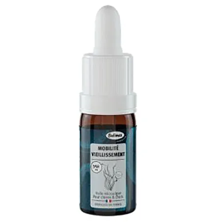 Huile microalgue 10ml - Articulations & mobilité chien