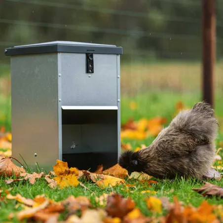 Mangeoire galvanisée 5 kg pour volailles et canards