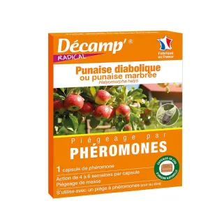 Piège phéromones anti-punaises diaboliques - 1 capsule - 4 à 6 semaines