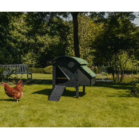 Poulailler plastique recyclé 5-9 poules - sur pieds