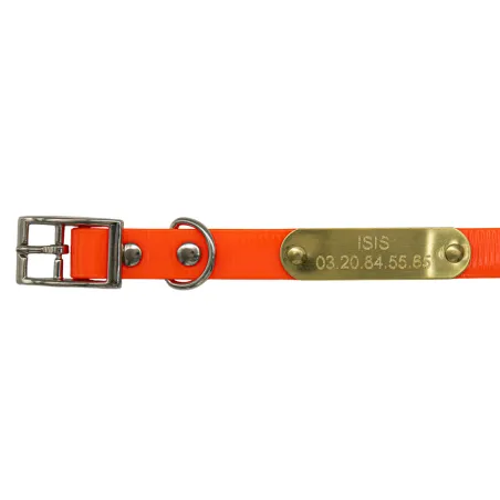 Collier gravé BIOGOLD pour petit chien - 11 couleurs