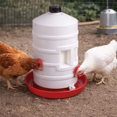 Abreuvoir 20L plastique à poignée pour volailles Novital