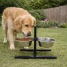 Mangeoire réglable chien avec 2 gamelles inox 19 cm