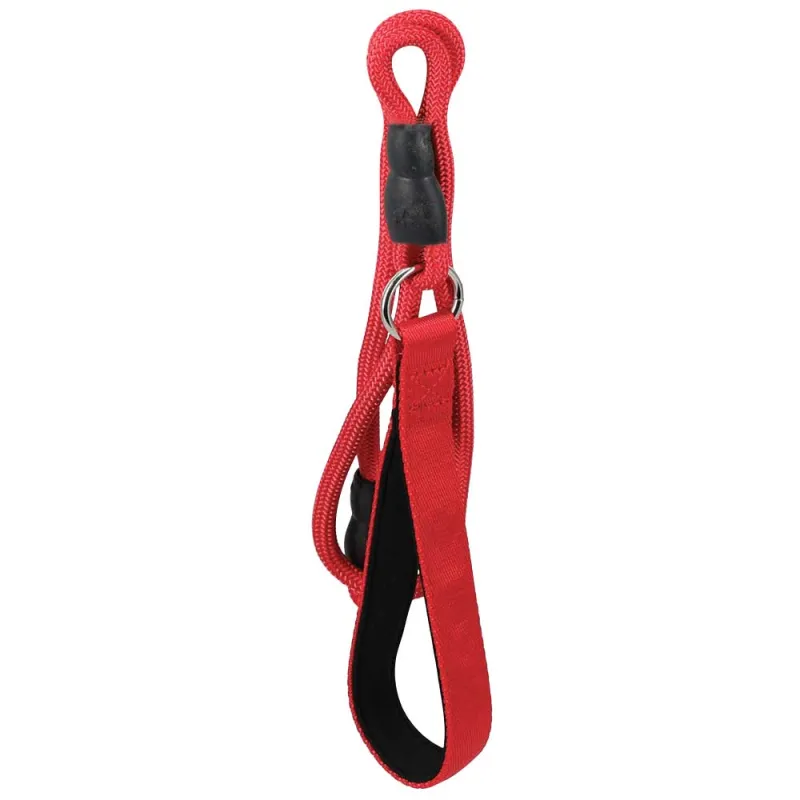 Laisse chien 120 cm en polyester - solide et maniable