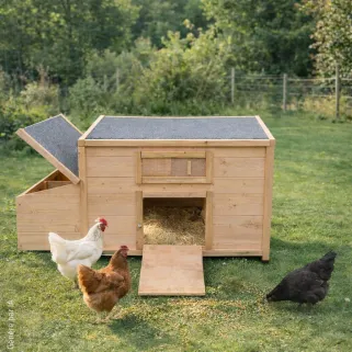 Poulailler bois 3 poules - toit asphalte et fenêtre