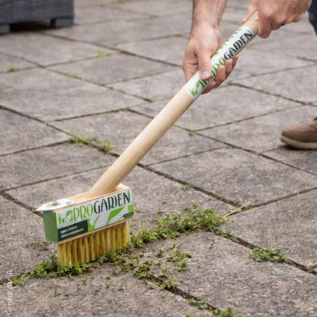 Brosse désherbage Progarden 36 cm - Grattoir bois intégré