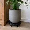 Support plante rotatif ajustable 360° - 100 kg